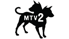 mtv2 network logo